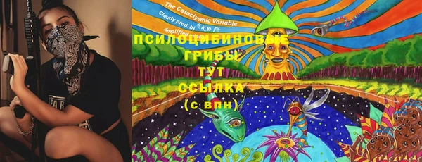 дживик Козельск